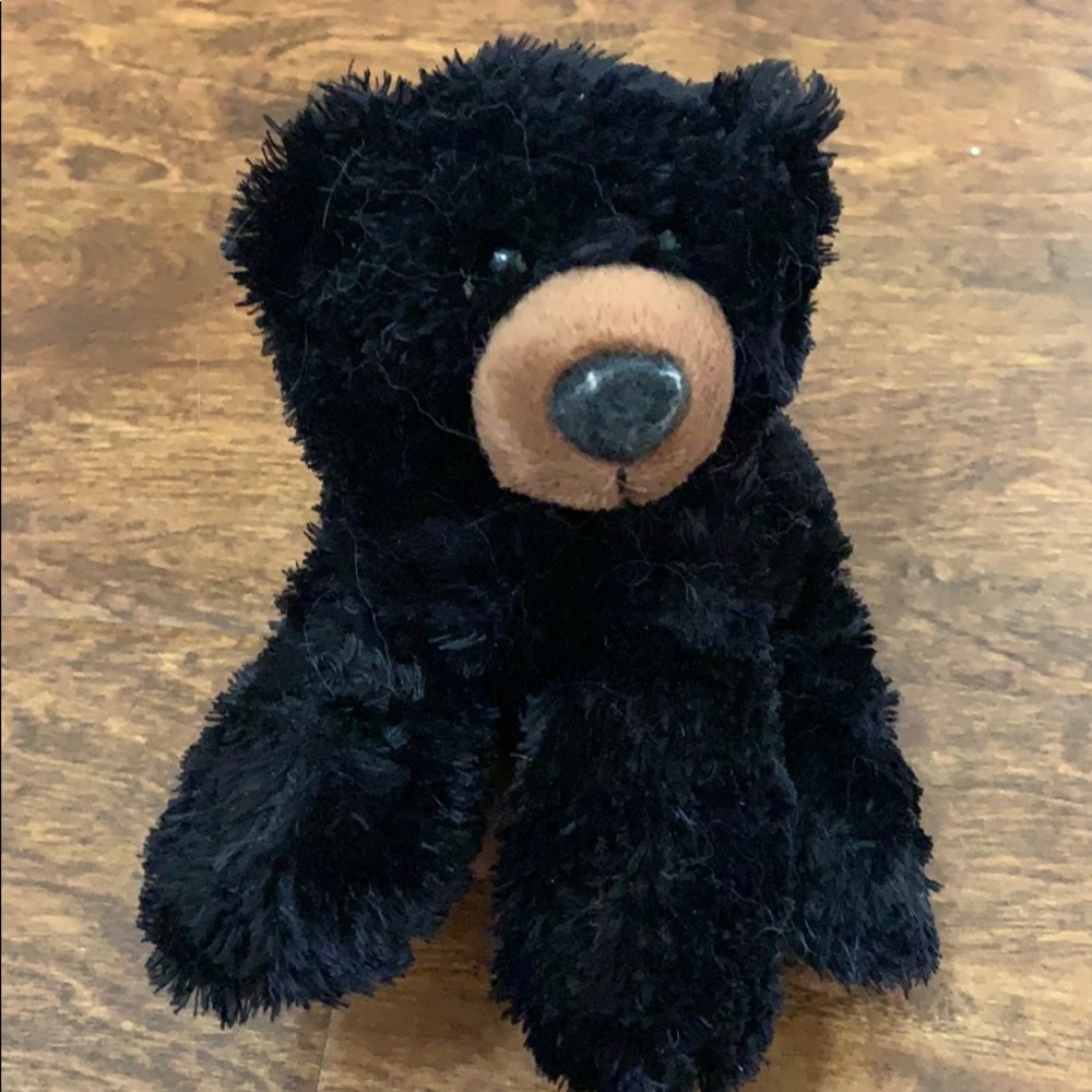 Aurora Black Bear